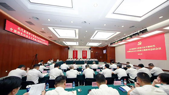 江南app体育召开学习贯彻习近平新时代中国特色社会主义思想主题教育总结会议